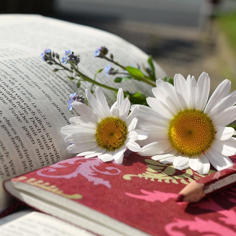 flowers on an open book